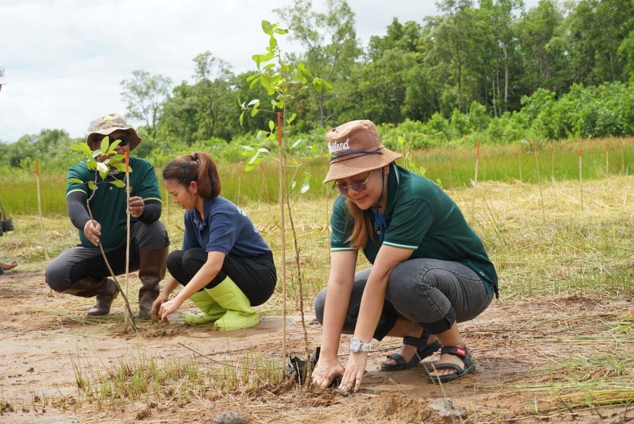 CP Foods and Nichirei Continue Mangrove Reforestation Efforts in Trat Province for Second Consecutive Year