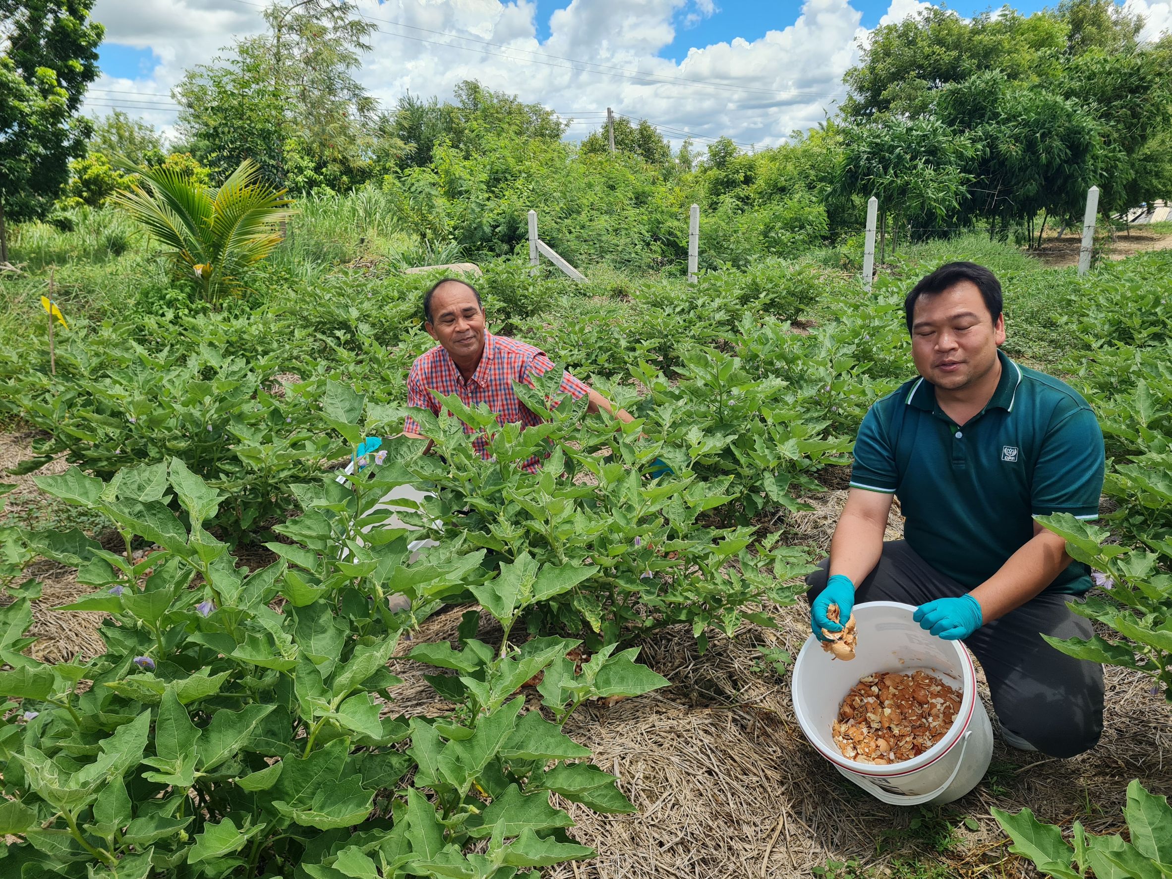 CP Foods Transforms Eggshells to Reduce Waste and GHG Emissions