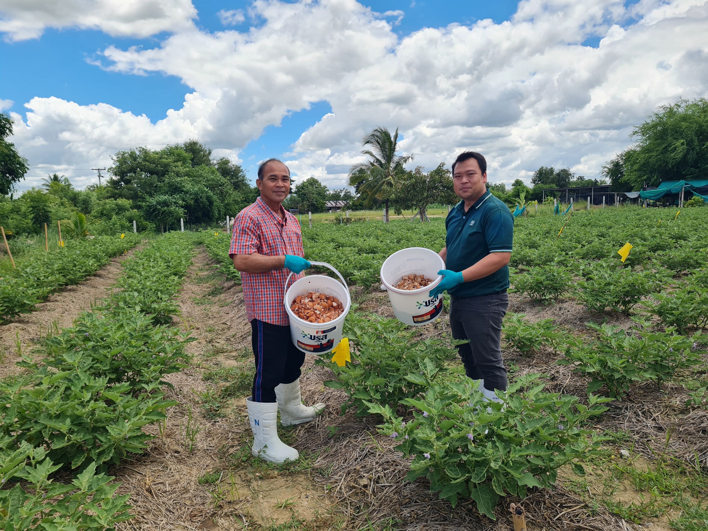 CP Foods Transforms Eggshells to Reduce Waste and GHG Emissions