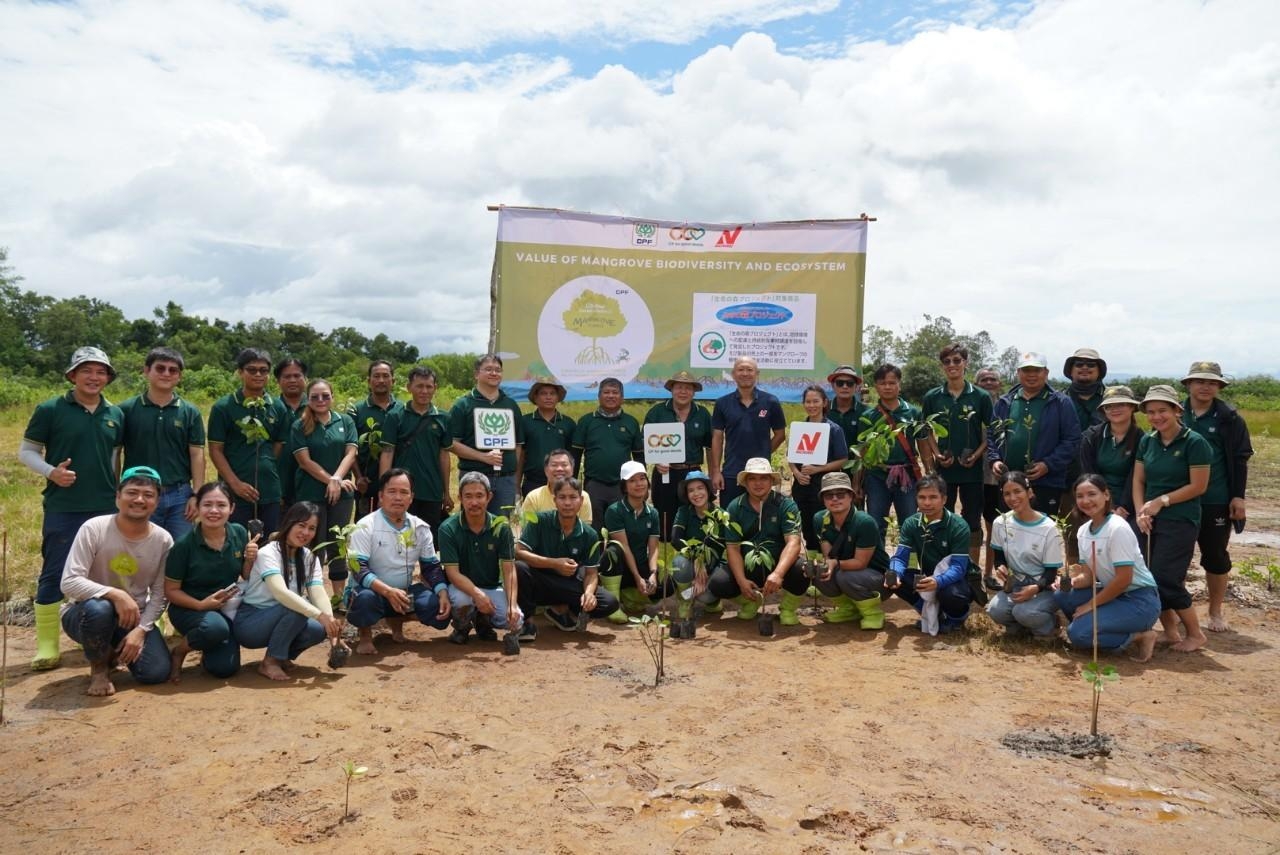 CP Foods and Nichirei Continue Mangrove Reforestation Efforts in Trat Province for Second Consecutive Year