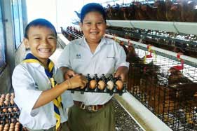 ความสำเร็จโครงการไก่ไข่เพื่ออาหารกลางวันนักเรียน สร้าง “ห้องเรียนชีวิต