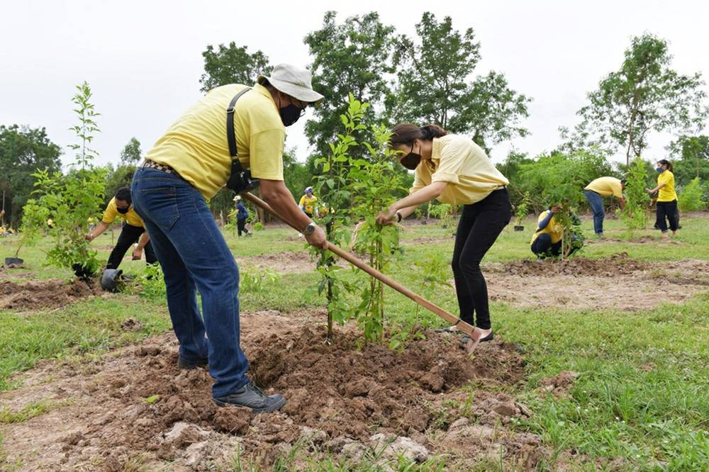 CP Foods’ community forest boost quality of life for surrounding locals