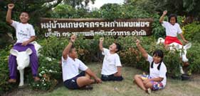 เปิดโมเดลเกษตรสมัยใหม่ “หมู่บ้านเกษตรกรรมกำแพงเพชร” แหล่งเรียนรู้  สร้างเกษตรกรไทยเข้มแข็ง