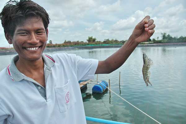 นายกสมาคมกุ้งไทยคาดผลผลิตกุ้งโดยรวมปีนี้2.1แสนตัน