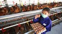 ซีพีเอฟ จับมือ มูลนิธิพัฒนาชีวิตชนบทฯ ต่อยอดความสำเร็จโครงการเลี้ยงไก่ไข่ ส่งเสริมโภชนาการที่ดีให้เยาวชนไทยต่อเนื่องปีที่ 27 