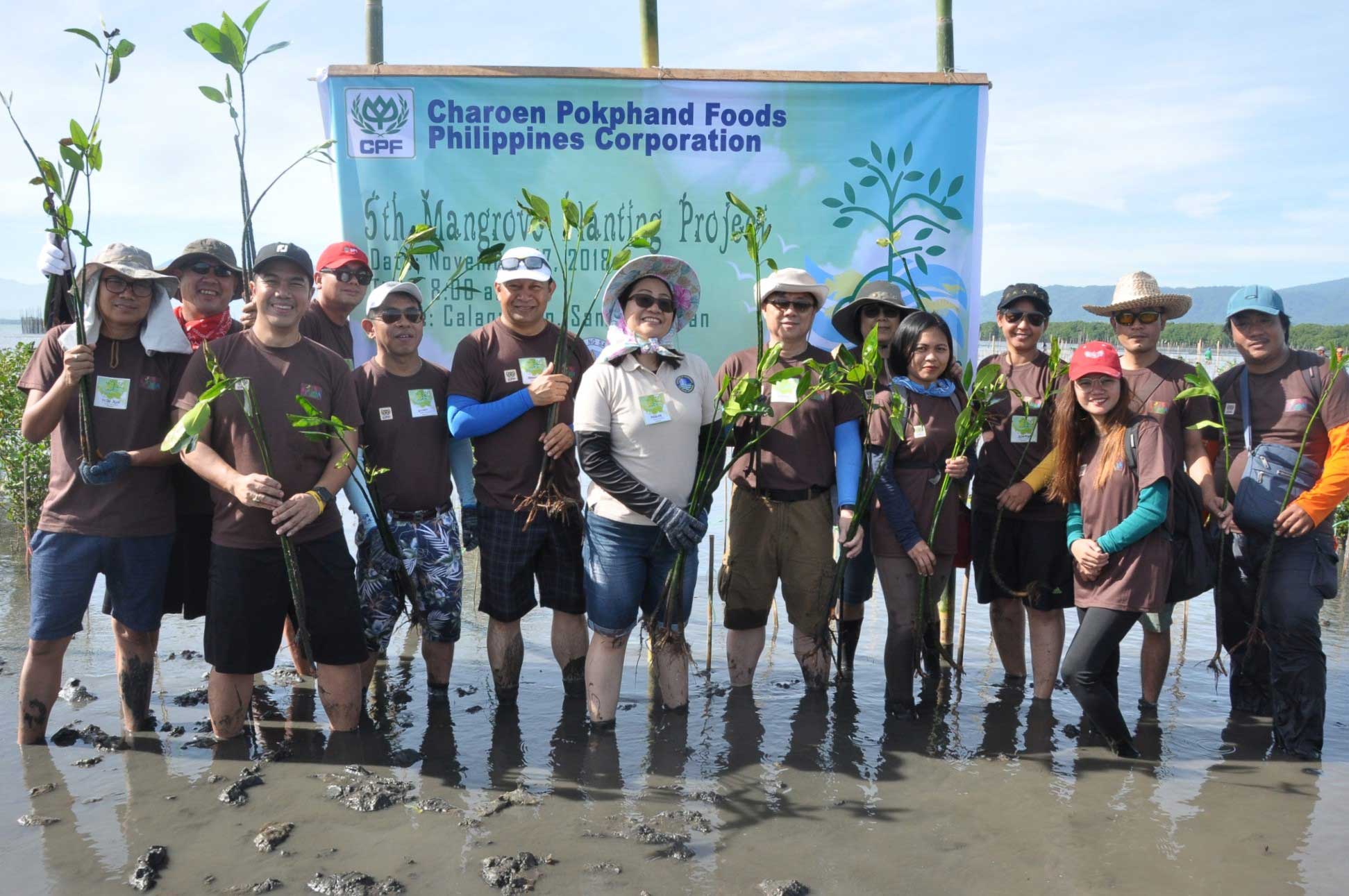 CP Foods and communities protect Philippines’ coastal area with mangrove plants