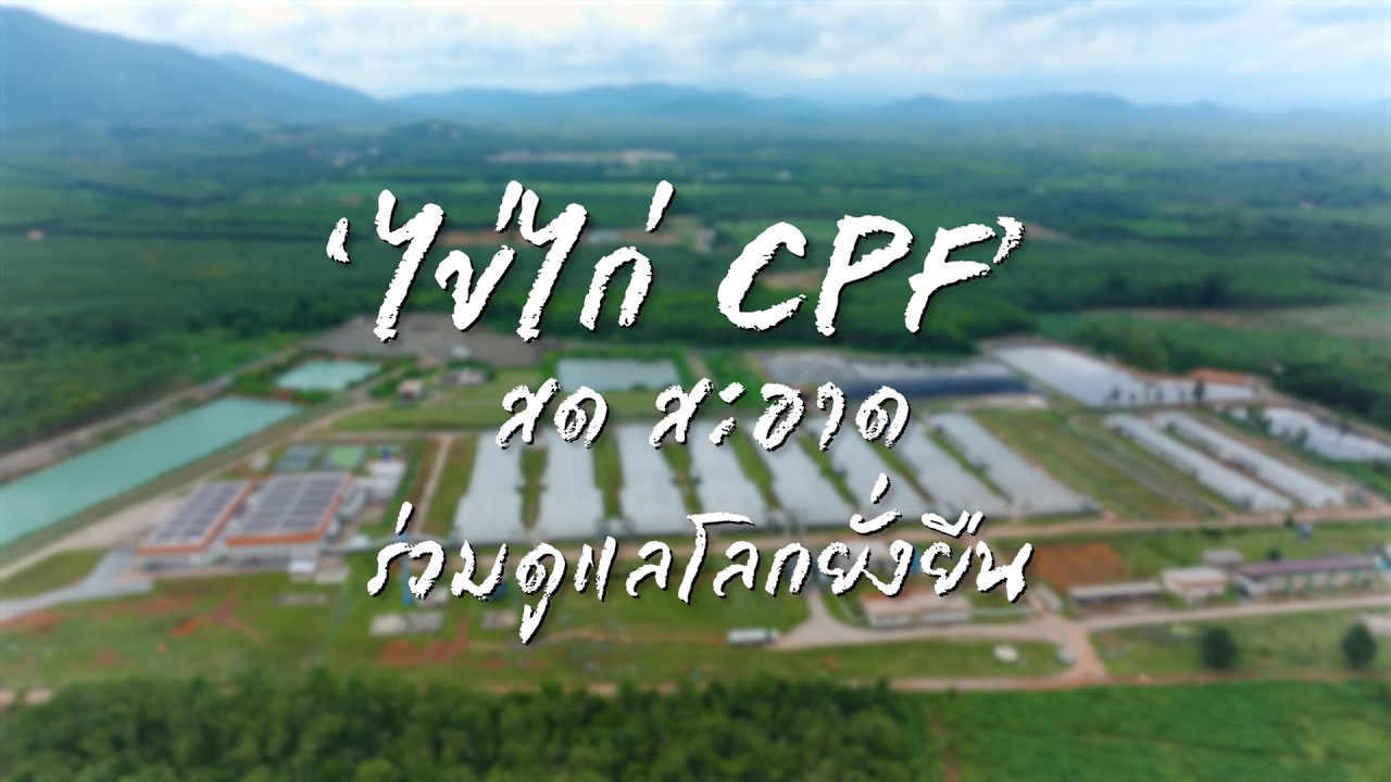 เรื่องดีดี CPF EP.327 ตอน 'ไข่ไก่ CPF' สด สะอาด ร่วมดูแลโลกยั่งยืน